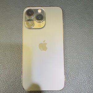iPhone 13 Pro (Black)